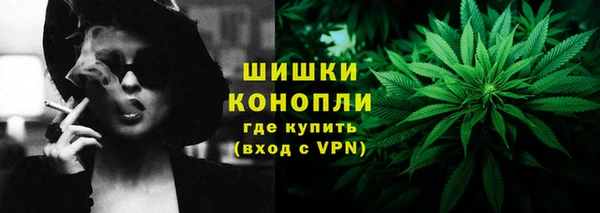 прущие грибы Володарск