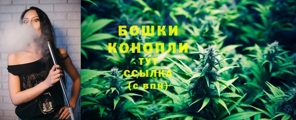 винт Бронницы
