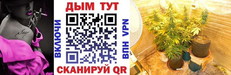 Конопля Ganja  Изобильный 